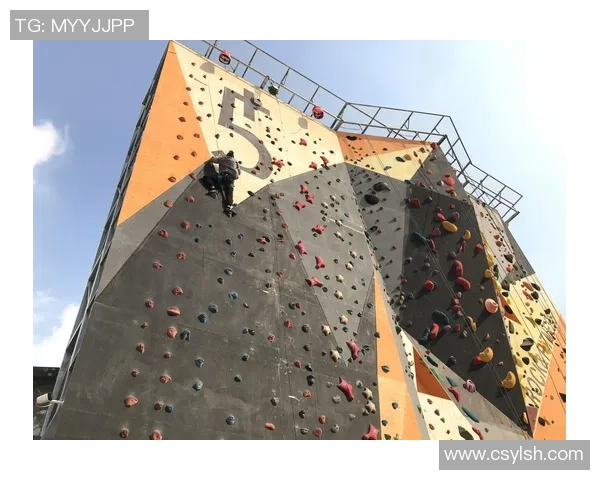 广州攀岩队的意识探讨与发展：攀岩运动的团队精神与个体成长