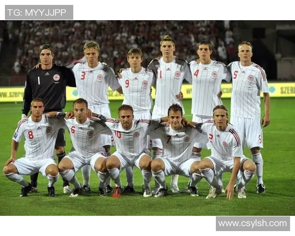 回顾丹麦足球辉煌历史的明星阵容与传奇球员名单